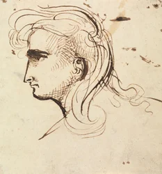 Estudio de la cabeza