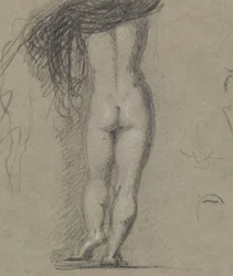Vista trasera de una figura desnuda