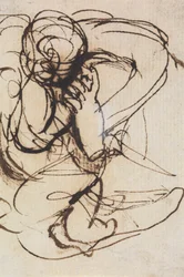 Estudio de una figura