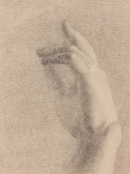 Estudio de una mano [recto]
