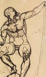 Estudio de un desnudo masculino