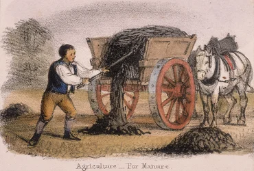 Agricultura, para abono, c1845