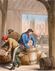 Curado de arenques, c. 1845