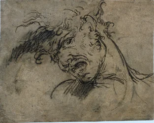 Cabeza de un hombre gritando, 1792