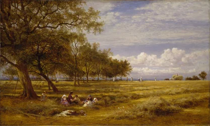 Un campo de heno inglés