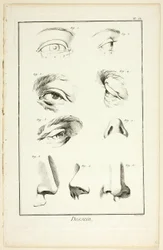 Diseño: Anatomía facial de la Encyclopédie