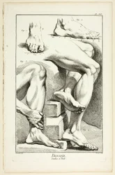 Diseño: Piernas y pies, de Encyclopédie
