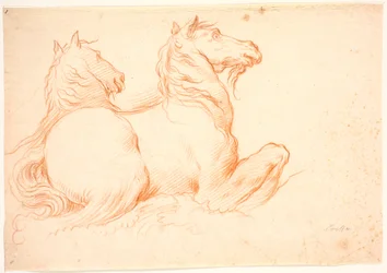 Dos caballitos de mar