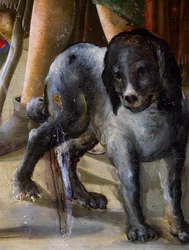 Perro, (detalle) de Natividad de Jesús, ca 1470, pintura de Benvenuto di Giovanni