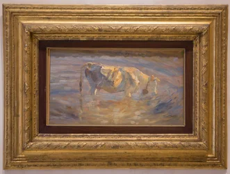 Vaca