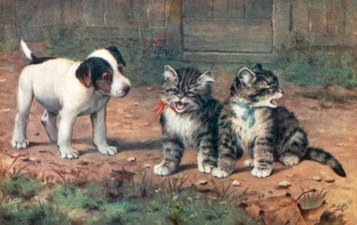 Postal felina (litografía en color)