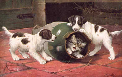 Postal felina (litografía en color)