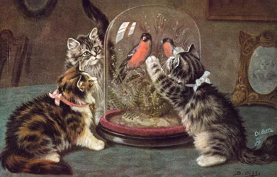 Postal felina (litografía en color)