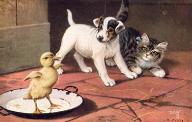 Postal felina (litografía en color)