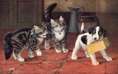 Postal felina (litografía en color)