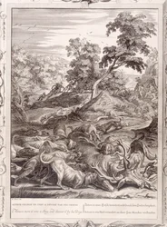Acteón convertido en ciervo y devorado por sus perros, 1731