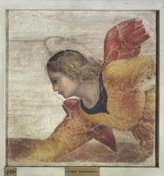 Ángel