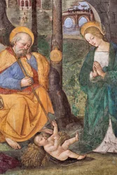 Adoración de los pastores (detalle) Fresco de Pinturicchio (Bernardino di Betto) (1454-1513) 1484-1492 (Iglesia de Santa Maria del Popolo), Basílica de Santa Maria del Popolo, Capilla Basso della Rovere, Roma, Italia