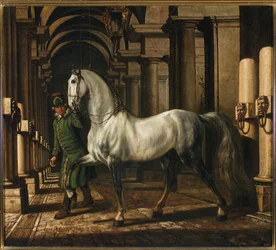 Mozo de cuadra conduciendo un caballo