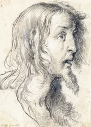 La cabeza de Cristo de perfil a la derecha