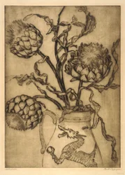 Alcachofa