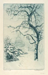 El Capitolio en invierno