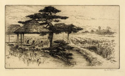 Jardín de lirios
