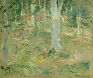 Bosque de Compiègne