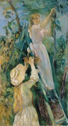 francés:  Le Cerisier