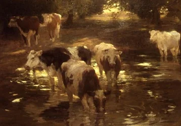 El punto de riego