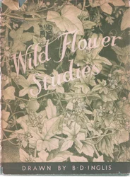 Portada, 1951