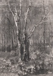 Bosques en el parque cerca de Monza, 1895