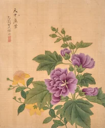 Álbum de flores (tinta y color sobre seda)