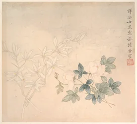 Estudio floral
