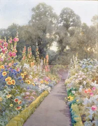 Camino del jardín con malvarrosas y amapolas