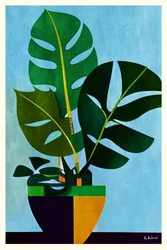Monstera moderna en maceta