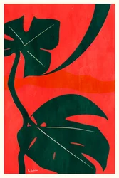 Hojas de Monstera «Jungle»