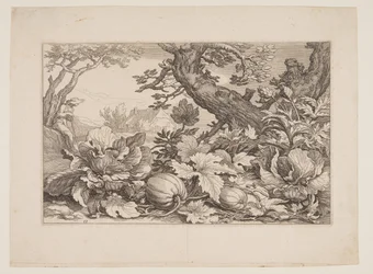 Lámina 13, de Paisajes con granjas