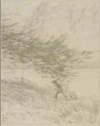 La rama de pino