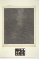Moonlight Woods (tinta sobre papel)