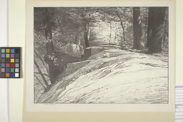 Rocas y árboles (tinta sobre papel)