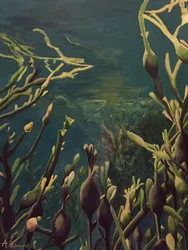 Bosque submarino de algas marinas