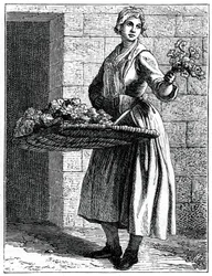 ¡Mis hermosos claveles!, 1737-1742