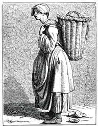 ¡Ostras en la concha!, 1737-1742