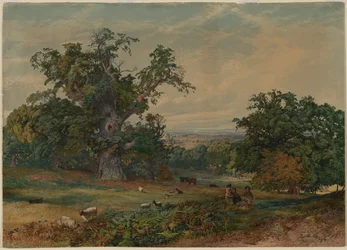 Vista cerca de Bedford