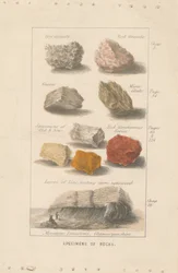 Especímenes de rocas. Prueba de una ilustración para el "Globo preparado para el hombre" de Wright.