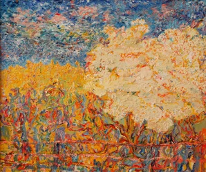 El Árbol de Saúco II