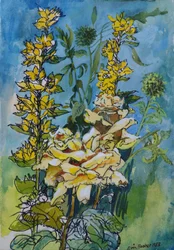 Rosa Amarilla y Lisimaquia, 1983