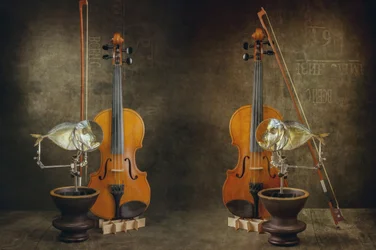 Concierto
