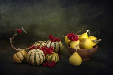 Calabazas y bayas de cosecha